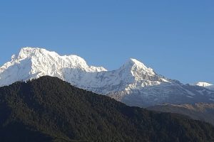 himal dhampus