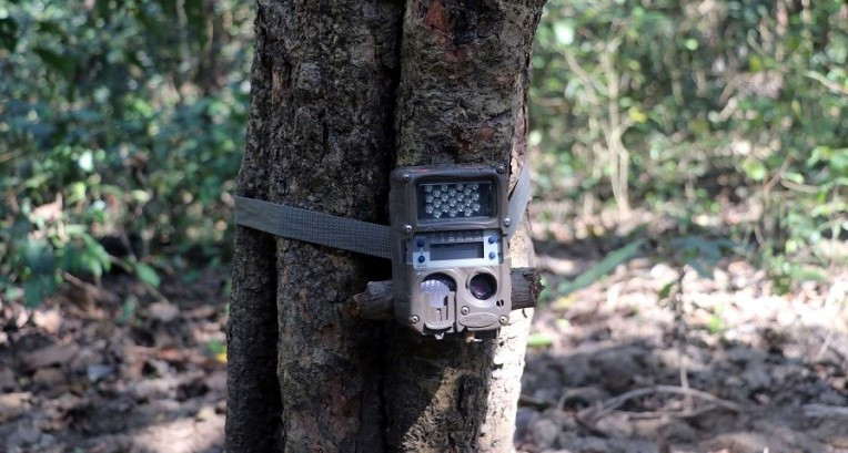 camera taping chitwan national park