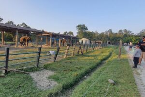 Chitwan Sauraha Padmarga