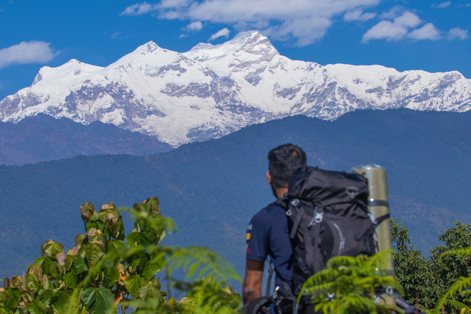 अन्नपूर्ण हिमाल